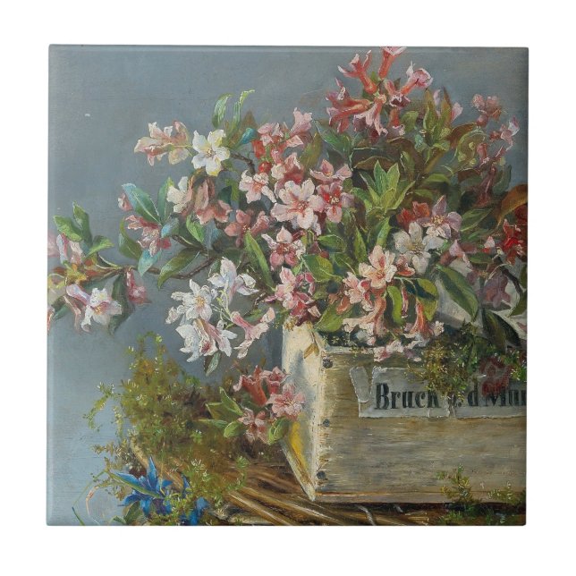 Alpine Roses in a Window Box – Andreas Lach Tile (Front)