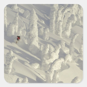 Alpine Skier in thick snowghosts at Big Square Sticker