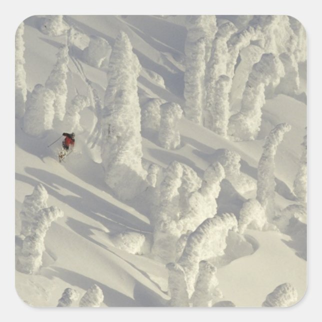 Alpine Skier in thick snowghosts at Big Square Sticker (Front)