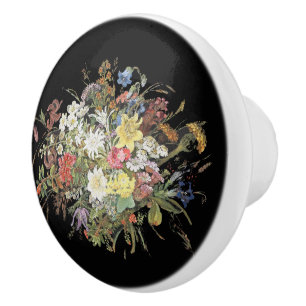 Alpine Wildflower Flowers Edelweiss Knob