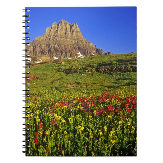 Alpine wildflowers at Logan Pass in Glacier Notebook (Front)