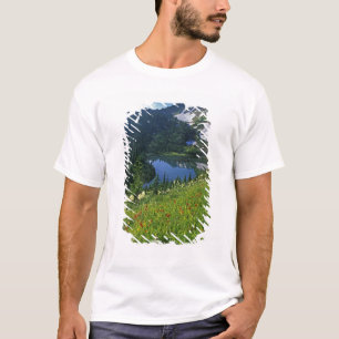 Alpine Wildflowers in the Jewel Basin in the T-Shirt