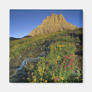 Alpine wildflowers & Mt Clements at Logan Pass Magnet
