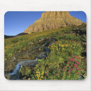 Alpine wildflowers & Mt Clements at Logan Pass Mouse Mat