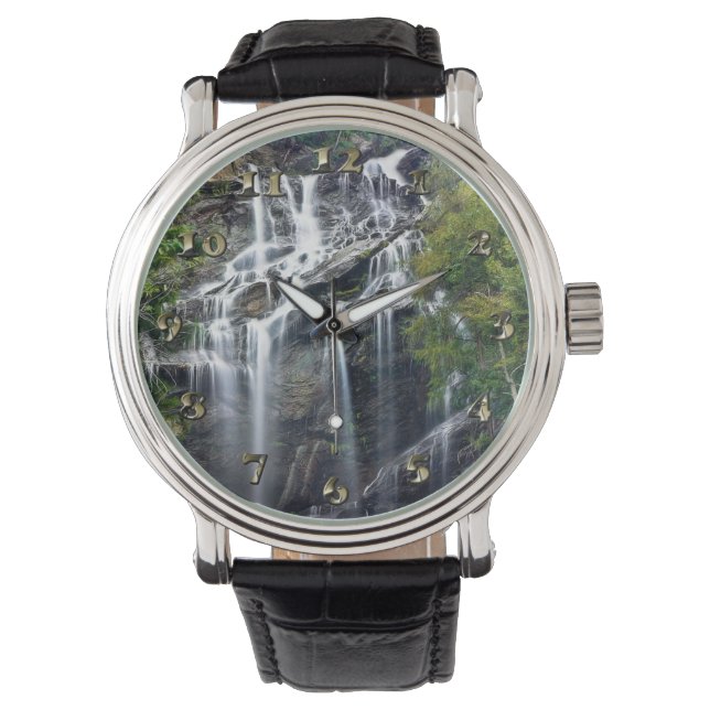 Alps Mountain Top Waterfall Watch (Front)