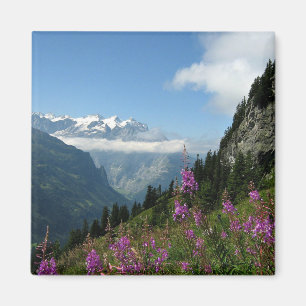 Alps, Switzerland Magnet