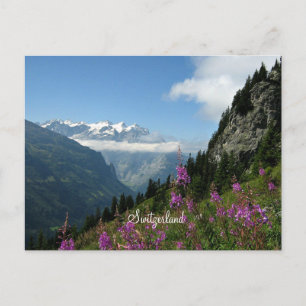 Alps - Switzerland Postcard