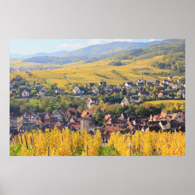 Alsace, France 6 Poster (Front)