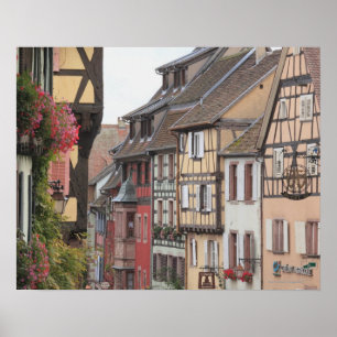 Alsace, France 8 Poster