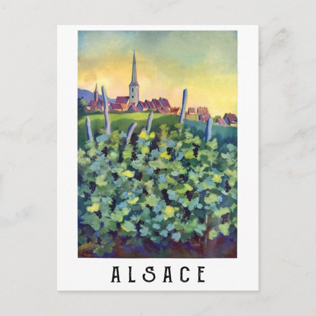 Alsace, France Postcard (Front)