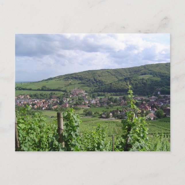 Alsace vineyards postcard (Front)