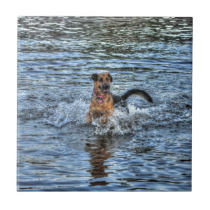 Alsatian German Shepherd Dog-lover Gift Tile