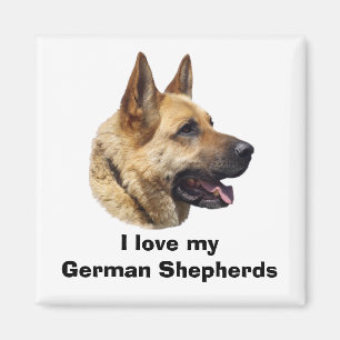 Alsatian German shepherd dog portrait Magnet
