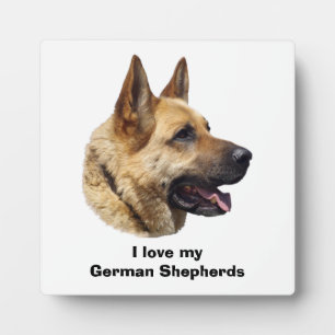 Alsatian German shepherd dog portrait Plaque