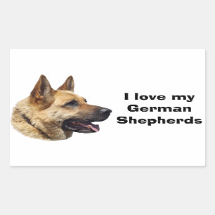 Alsatian German shepherd dog portrait Rectangular Sticker