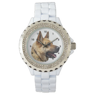 Alsatian German shepherd dog Watch