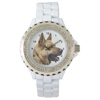 Alsatian German shepherd dog Watch