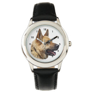 Alsatian German shepherd dog Watch