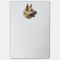 Alsatian German shepherd portrait