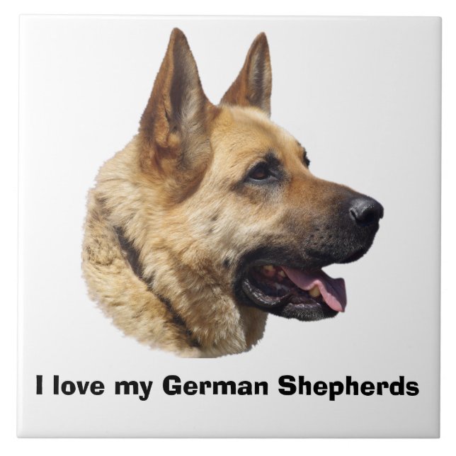 Alsatian German shepherd portrait Tile (Front)