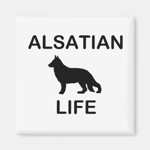 alsatian life magnet