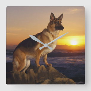Alsatian Square Wall Clock