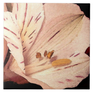 Alstroemeria in bloom tile