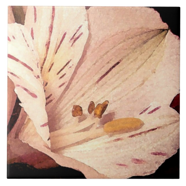 Alstroemeria in bloom tile (Front)