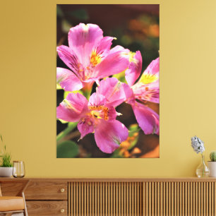 Alstroemeria Lilly Stunning Floral Bold Pink Canvas Print
