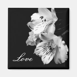 Alstroemeria Lily Love Magnet