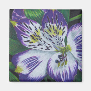 Alstroemeria Magnet