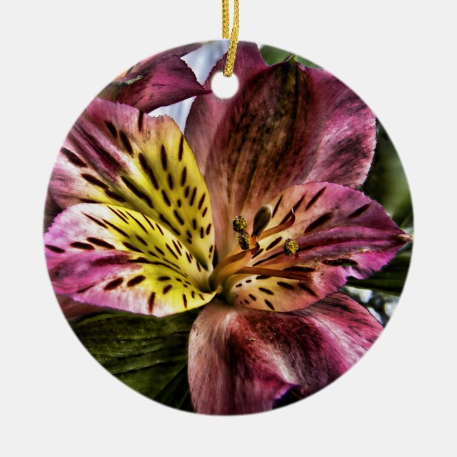 Alstroemeria Peruvian Lily flower custom ornament (Front)