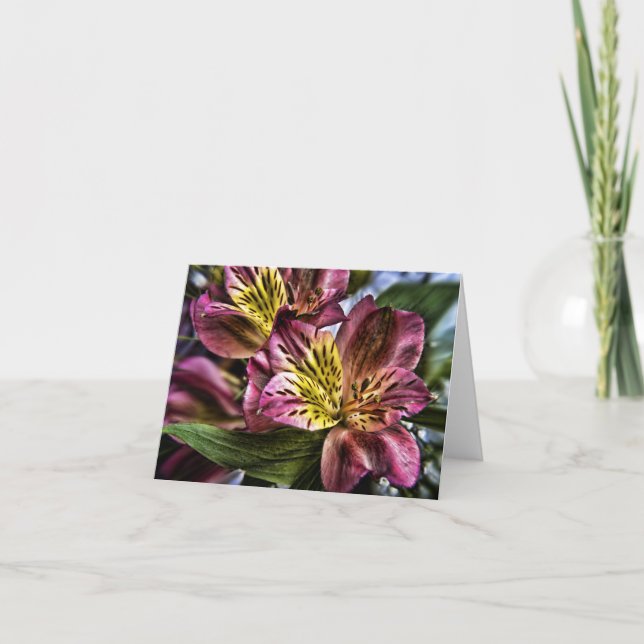 Alstroemeria Peruvian Lily flower note card (Front)
