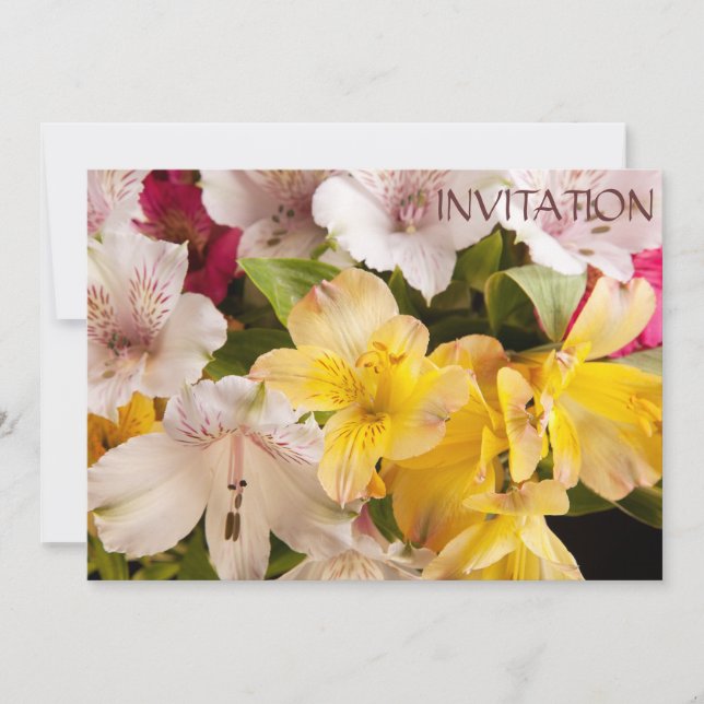 Alstroemeria (Peruvian Lily) Invitation (Front)