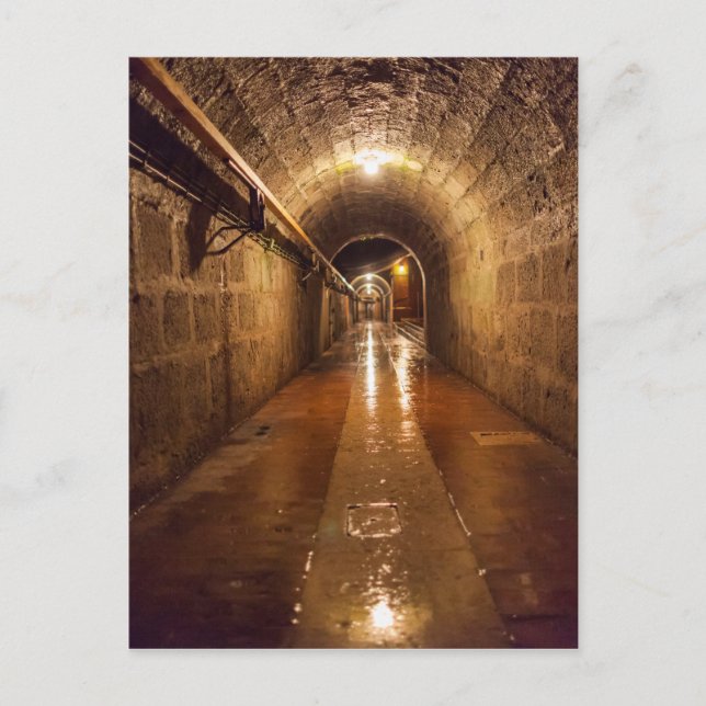 Alte Saline Salt Mine Tunnel Postcard (Front)