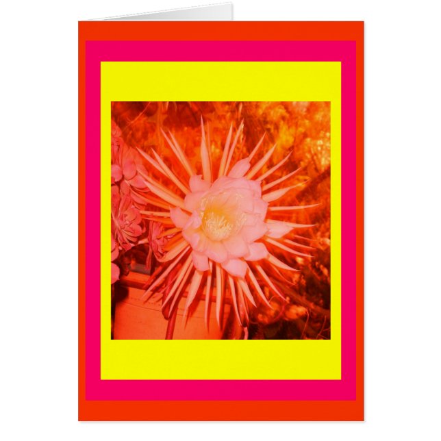 Altered Orange Cactus Flower (Front)