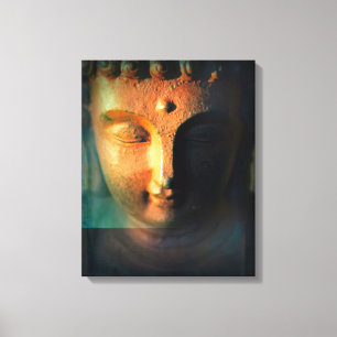 Altering Focus Canvas Print