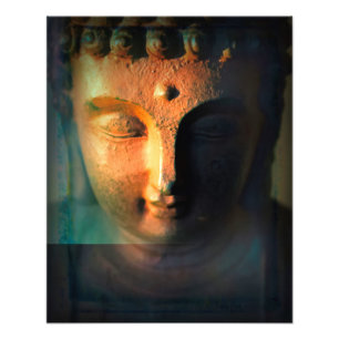 Altering Focus Photo Print