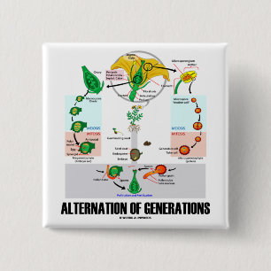 Alternation Of Generations (Flower Life Cycle) 15 Cm Square Badge
