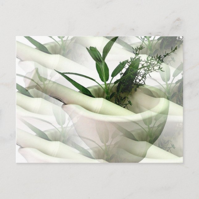 Alternative Medicine Postcard (Front)