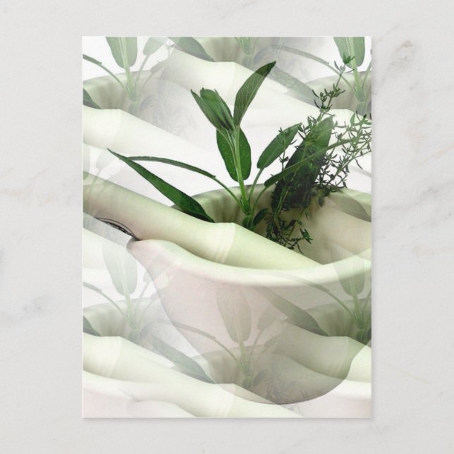Alternative Medicine Postcard (Front)
