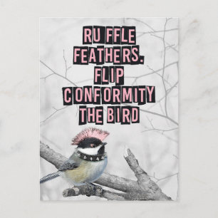 Alternative Punk Bird Anti Conformity Postcard