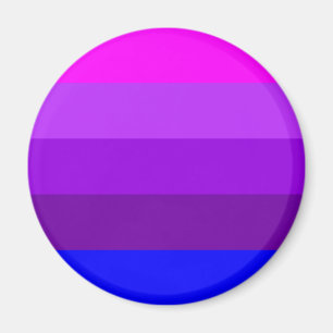 Alternative Transgender Pride Flag Magnet