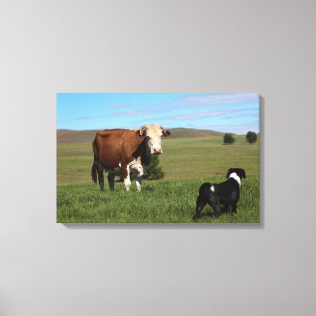 Although Cows and dogs are from different Canvas Print (Front)