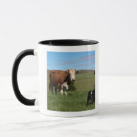 Although Cows and dogs are from different