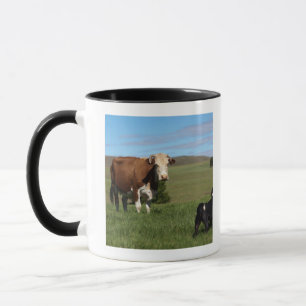 Although Cows and dogs are from different Mug