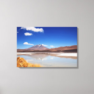 Altiplano landscape with volcano in Bolivia Canvas Print