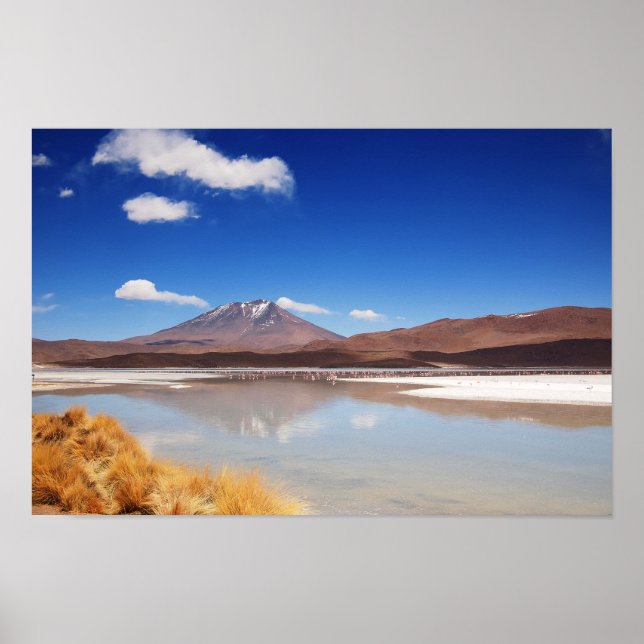 Altiplano landscape with volcano in Bolivia Poster (Front)