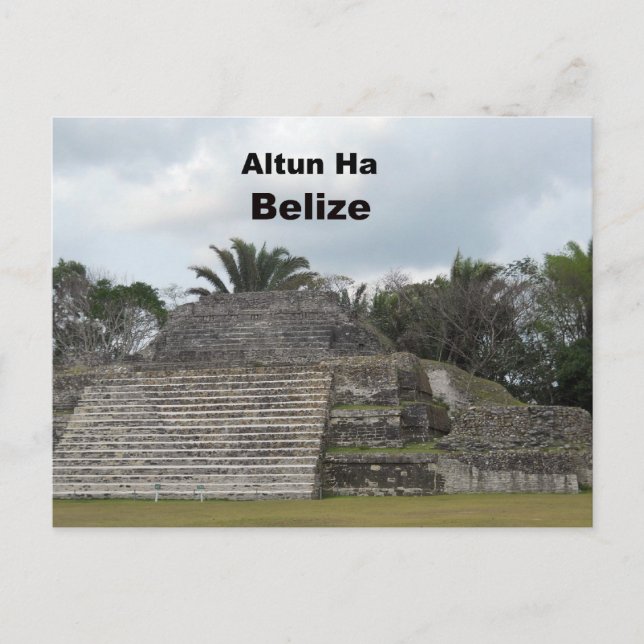 Altun Ha, Belise Postcard (Front)