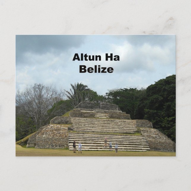 Altun Ha, Belise Postcard (Front)